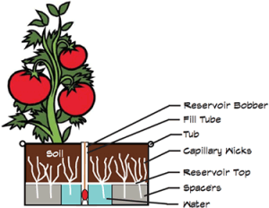 Farm Tub Diagram